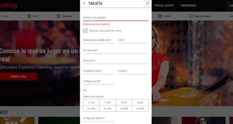 Ingresar dinero con Mastercard